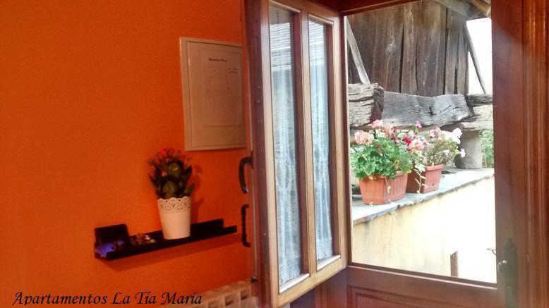 Cerredo Tia Maria B&B 외부 사진